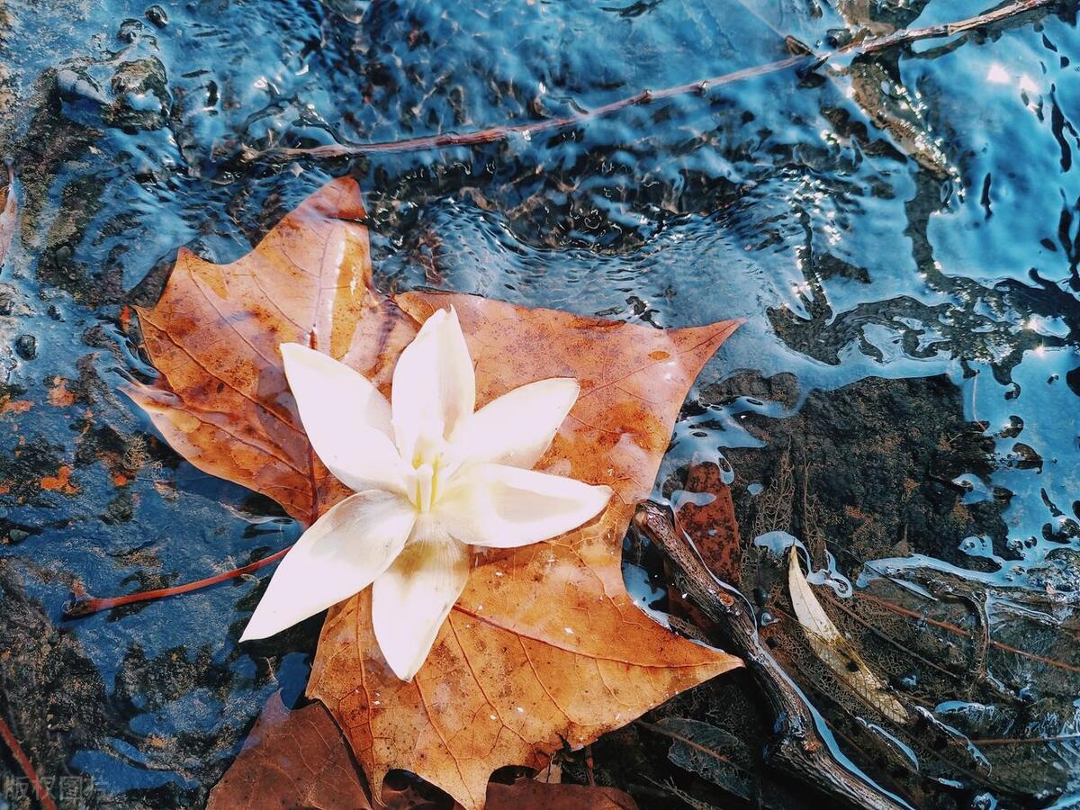 古人是如何描写爱情的,古人如何描绘爱情