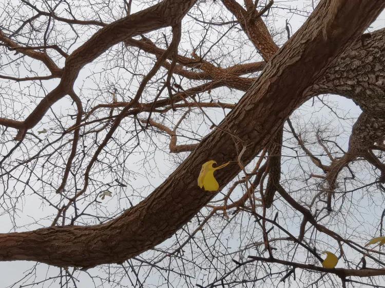 绝壁大梯白云寺,徒步白云寺