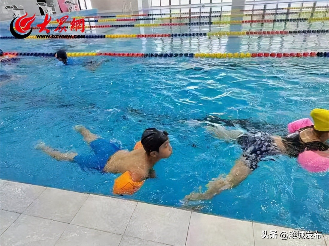 潍坊智群学校游泳,潍城智群游泳培训