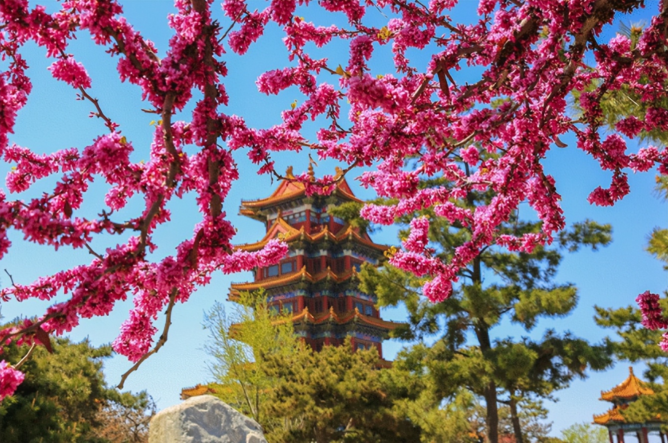 跟着旅发大会游山东走看海去,跟着旅发大会游济宁运河