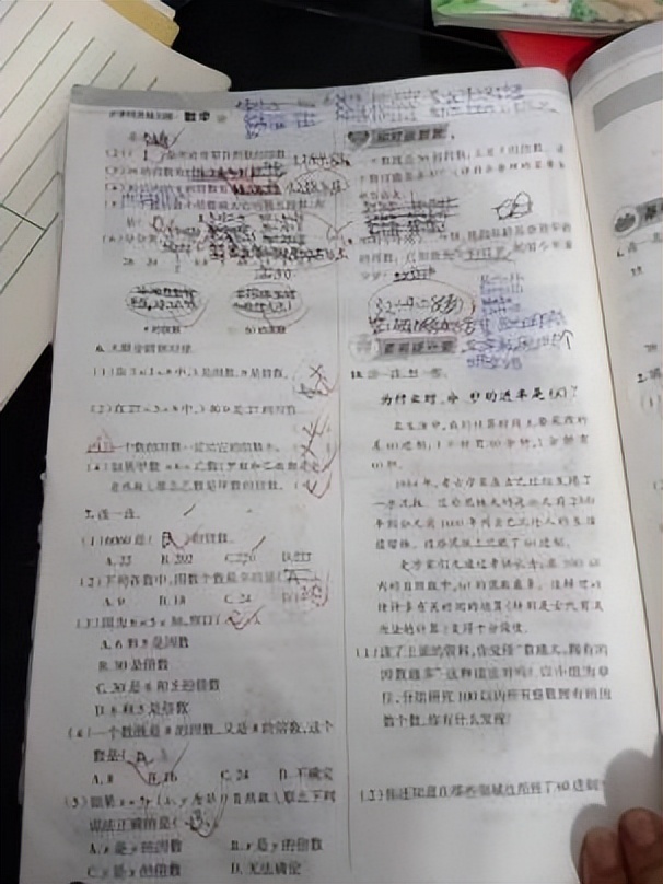 小学数学特色作业奇思妙算,小学数学必刷400题