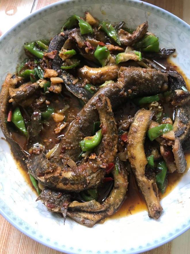 野钓最大泥鳅,野钓巨型泥鳅