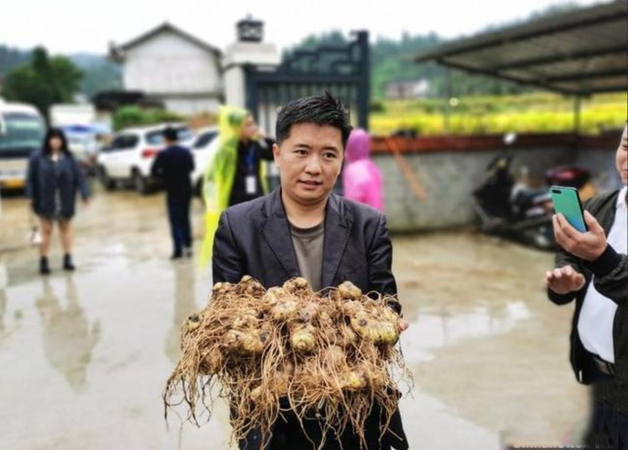 买这种野草一年赚200万 (一年赚200万的野草)