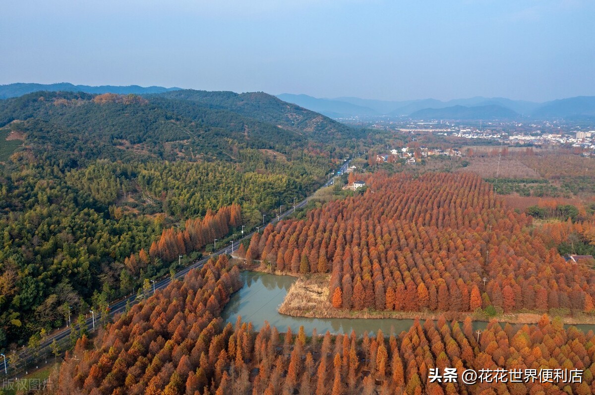 浙江湖州:景美人善不宰客,很多人都忽略了它