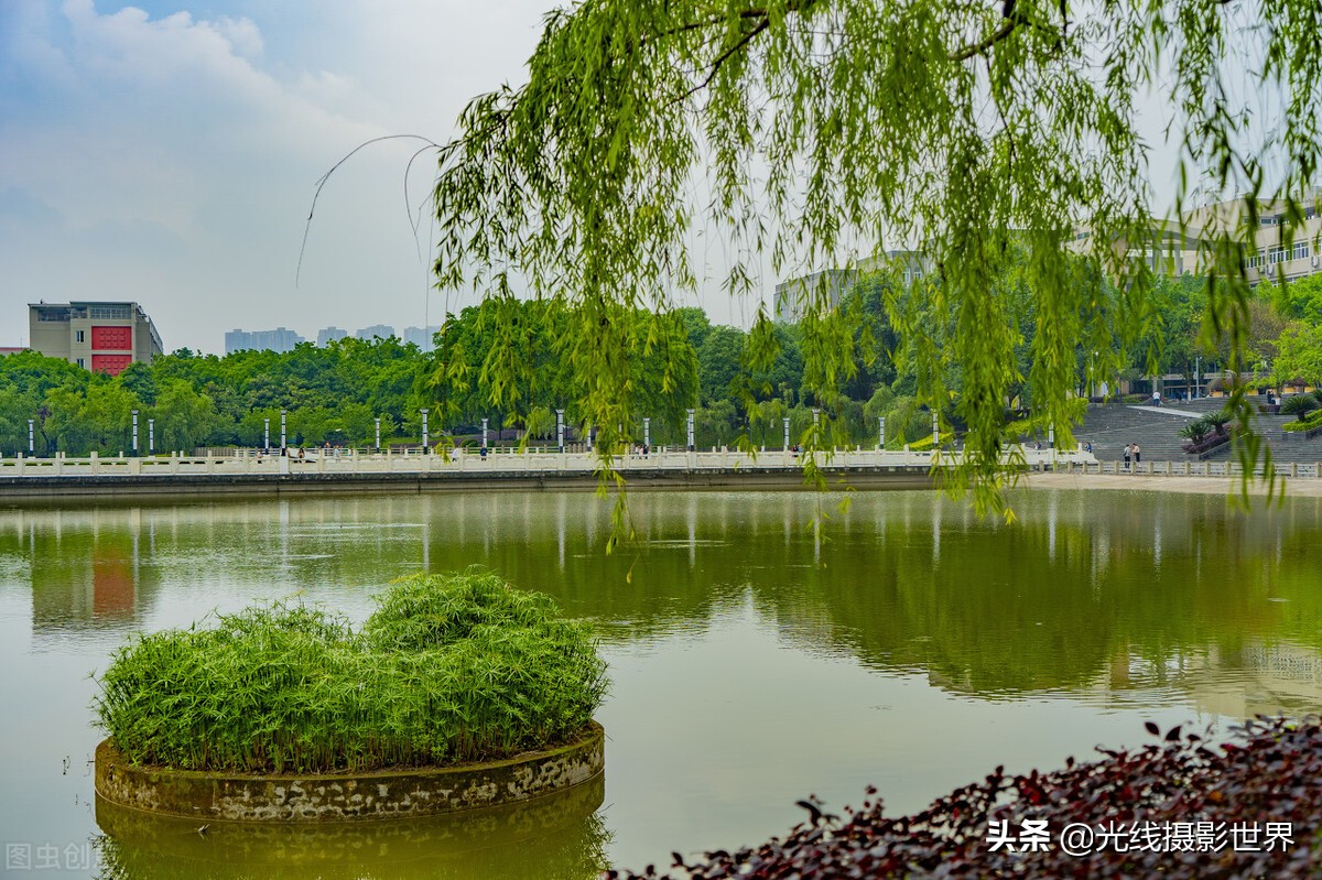 西南政法大学：法学界黄埔军校，法学齐名清华北大，却不是双一流