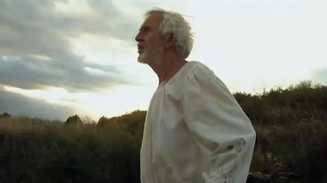 堂吉诃德理想主义,堂吉诃德评述