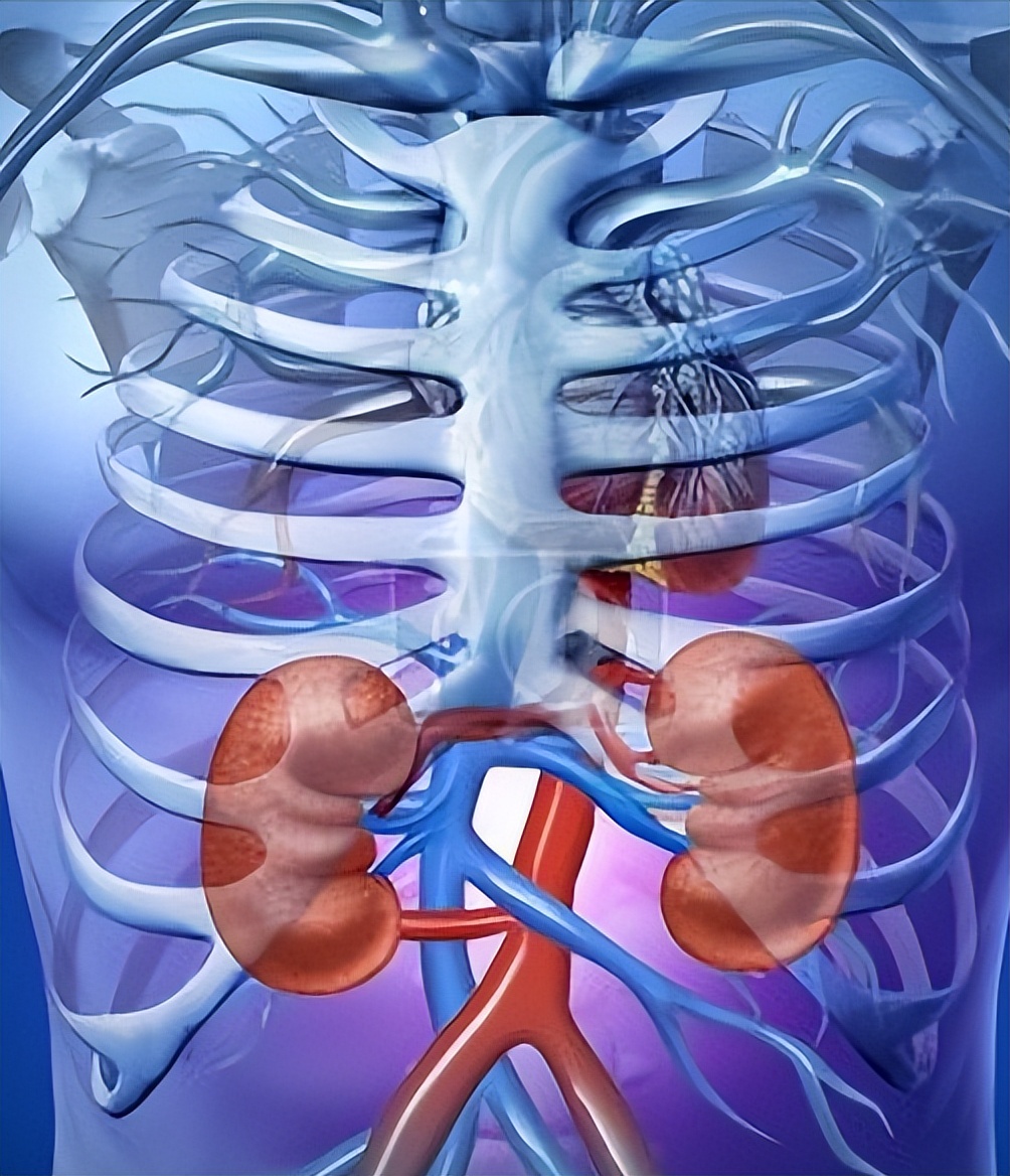 拉米夫定和阿德福韦酯耐药后果,拉米夫定和阿德福韦吃十年耐药率