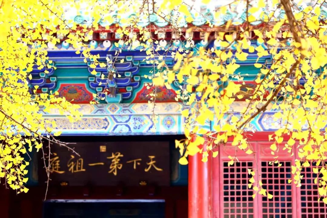 天地之中少林寺,中岳嵩山两个山哪个更好