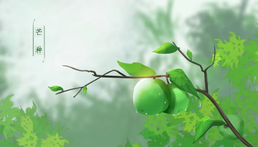 关于芒种的诗句的短视频,芒种原创古诗视频