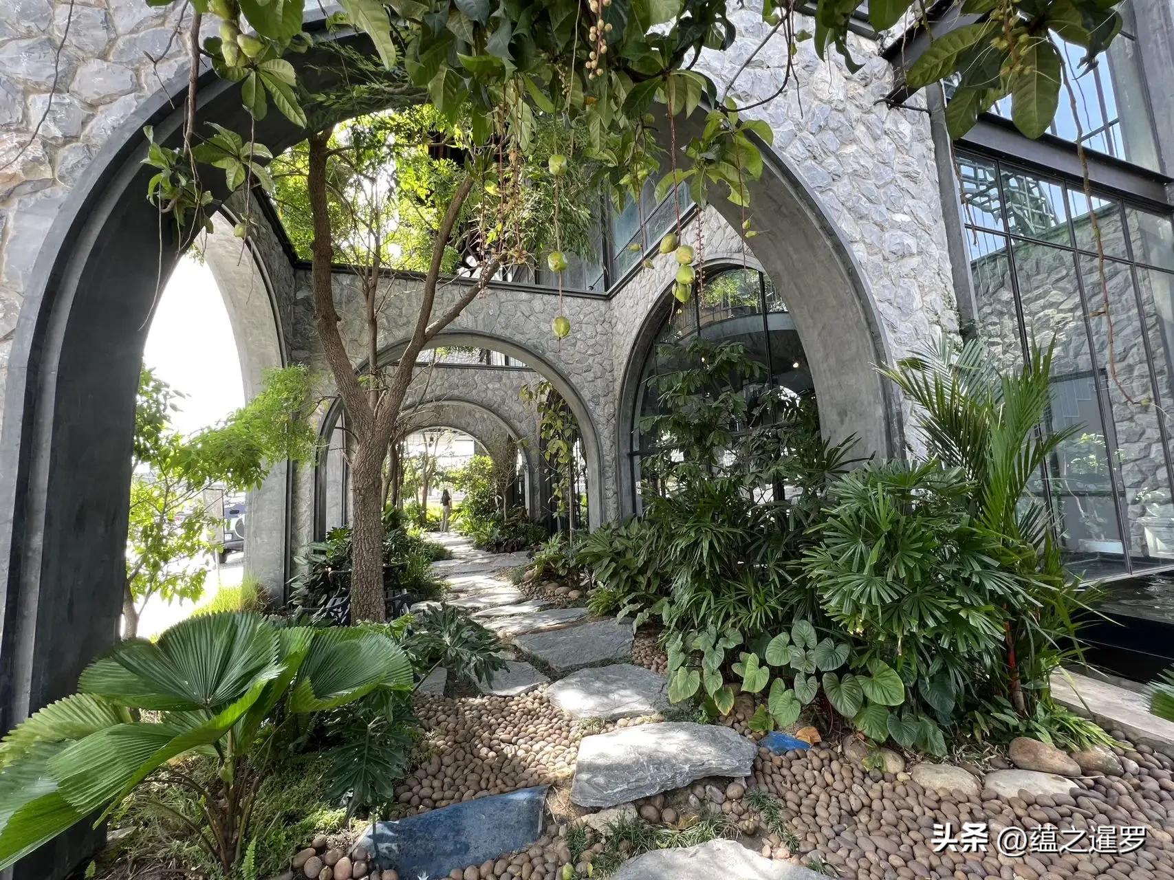 泰版星巴克-亚马逊咖啡，创立20年来首次涨价，为何只涨五泰铢