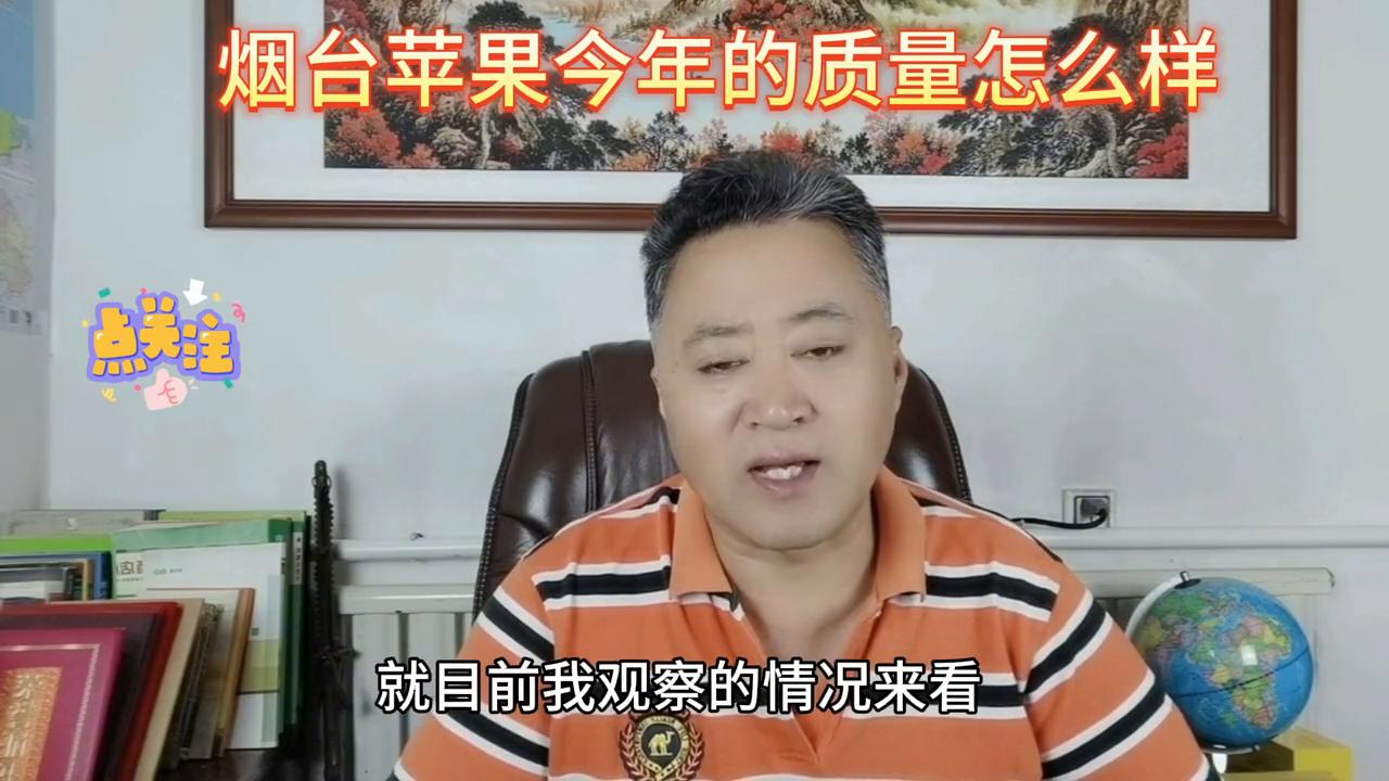 洛川苹果和烟台苹果哪个好,阿克苏苹果和烟台苹果哪个好