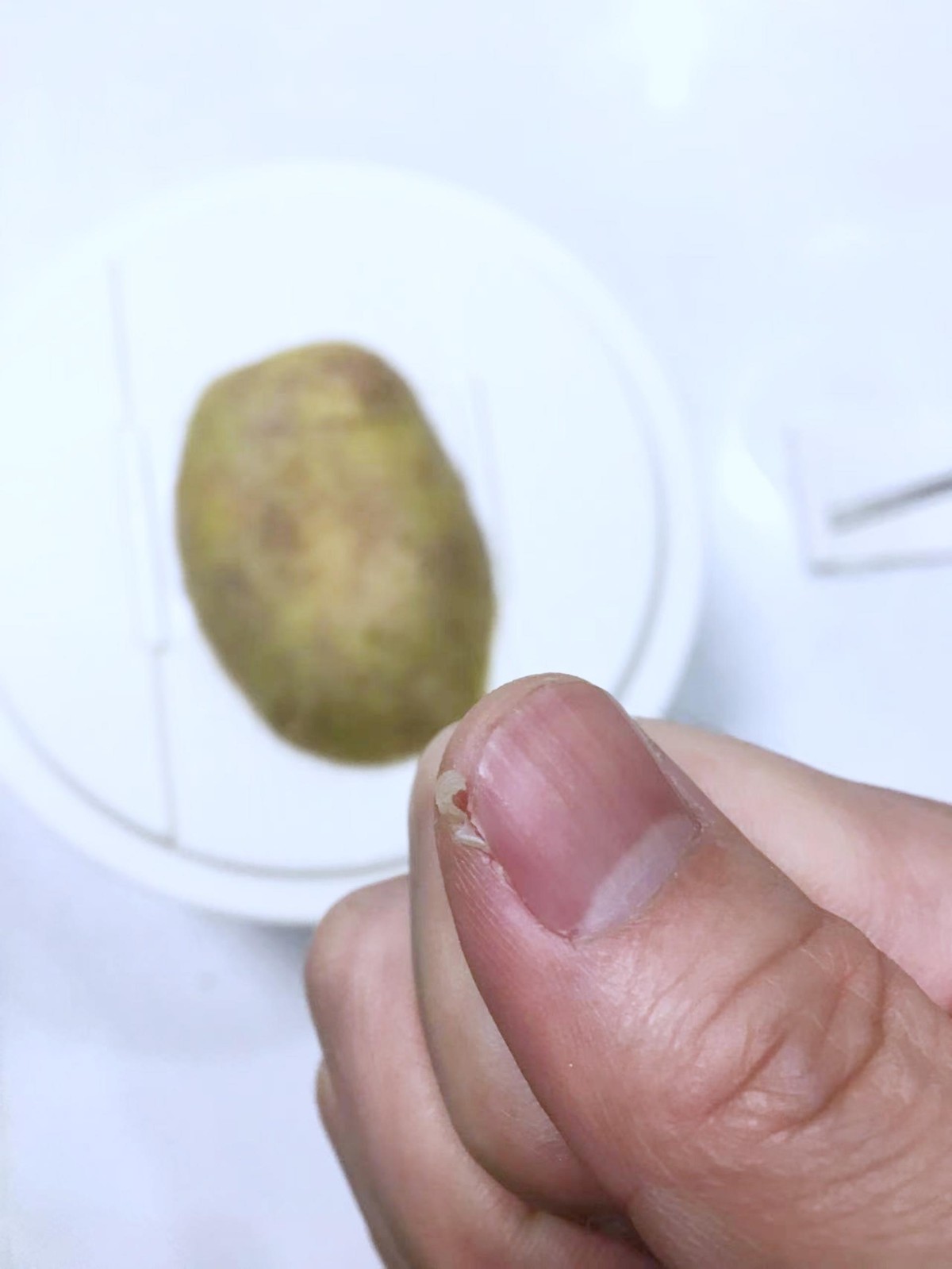 七彩叮当绞肉机多少钱,七彩叮当绞肉机官方旗舰店