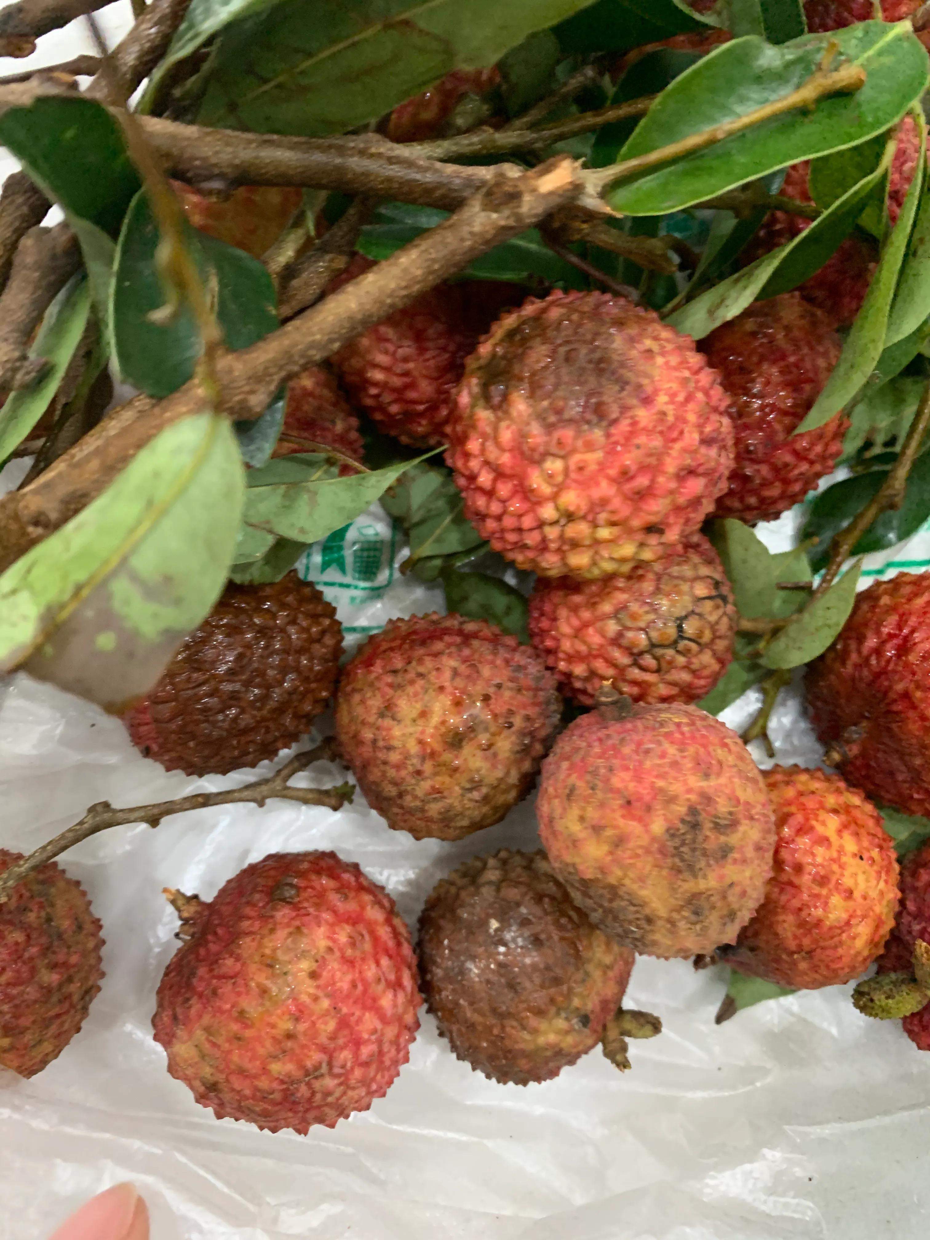 买到烂的水果不给退款怎么办,买到坏的水果商家不愿意退款