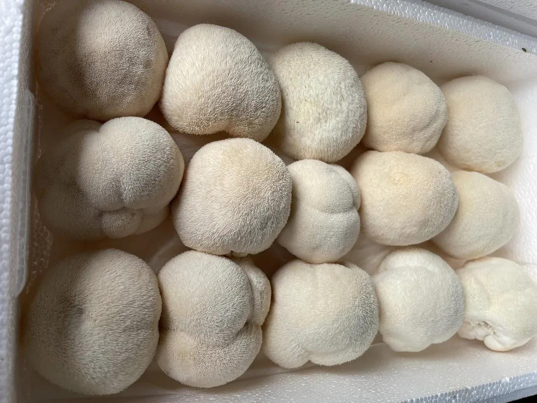 做好特色农业,做好农业品牌化