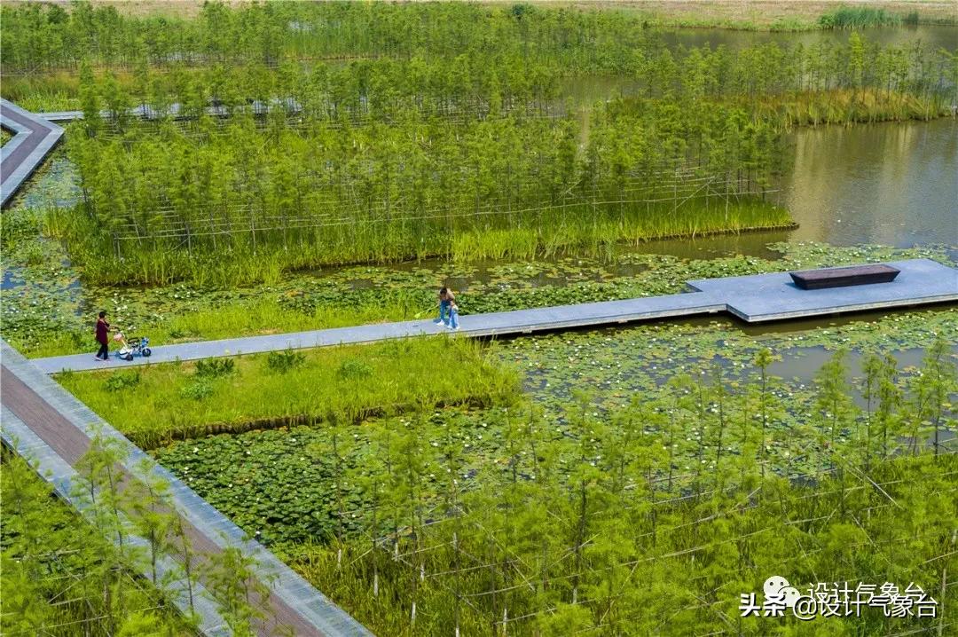 俞孔坚的设计作品,俞孔坚景观设计学