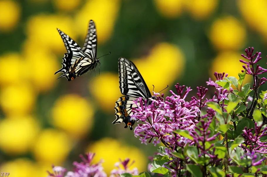 中国人文摄影获奖作品,大美中国摄影作品展获奖
