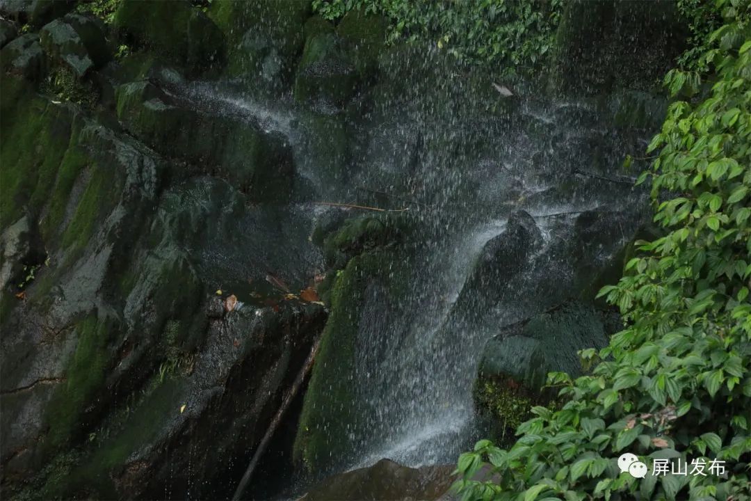 记者带你看民宿,记者带您云游老君山