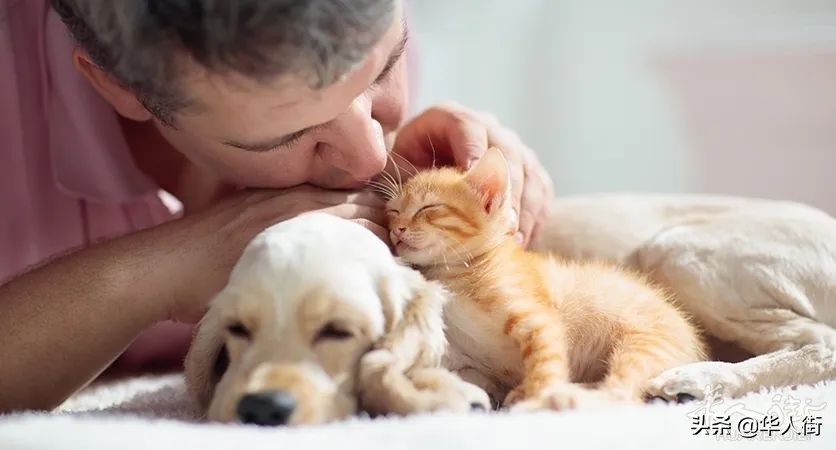 意大利2021大奖,意大利奖金