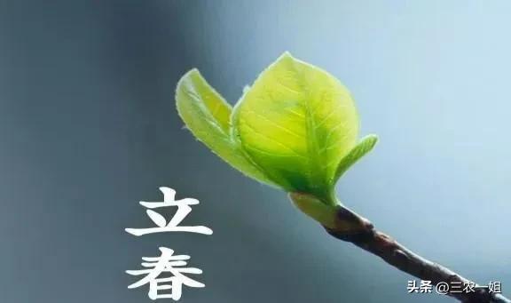 双春闰月年哪三人要躲春,立春躲春是什么时候的习俗