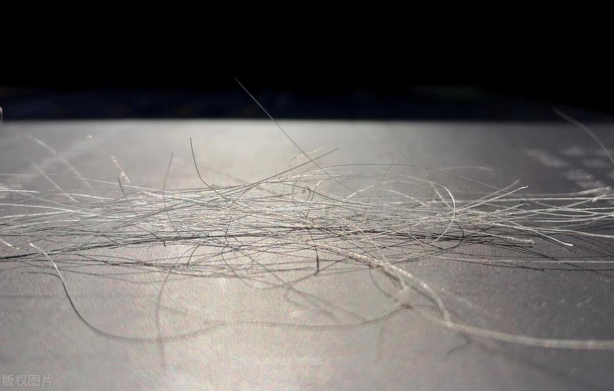 治疗白发脱发营养素,白发突然增多可能是缺少营养素