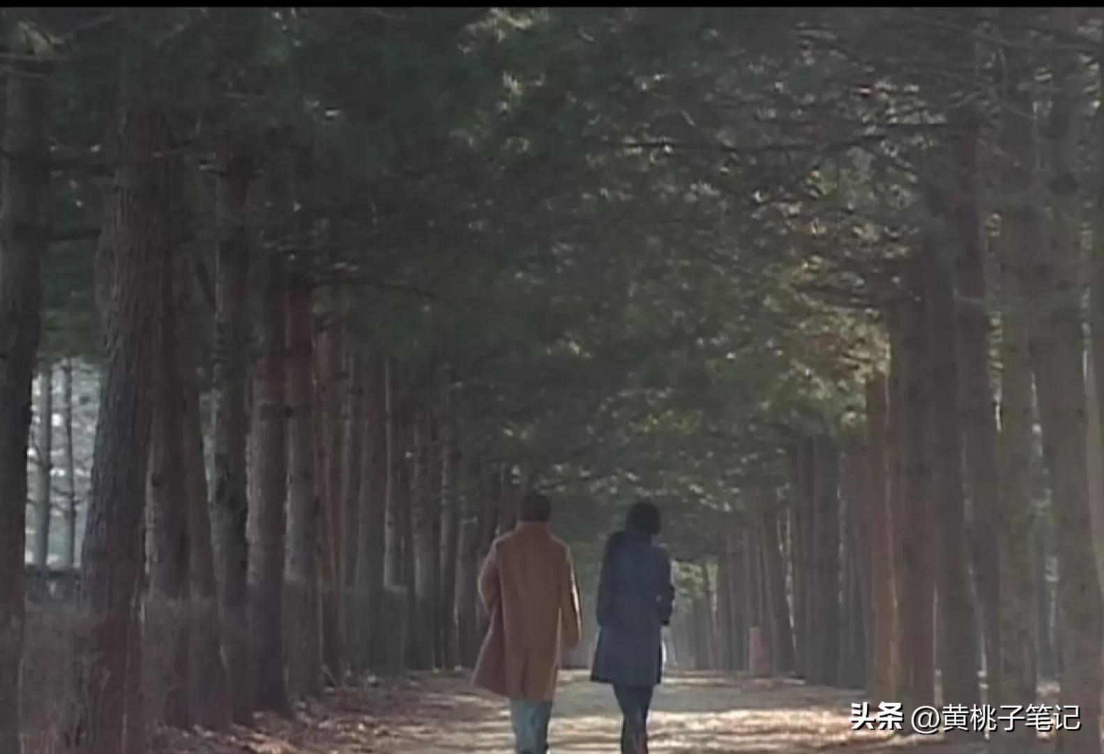 冬日恋歌讲的什么样的爱情,冬季恋歌给人的感觉