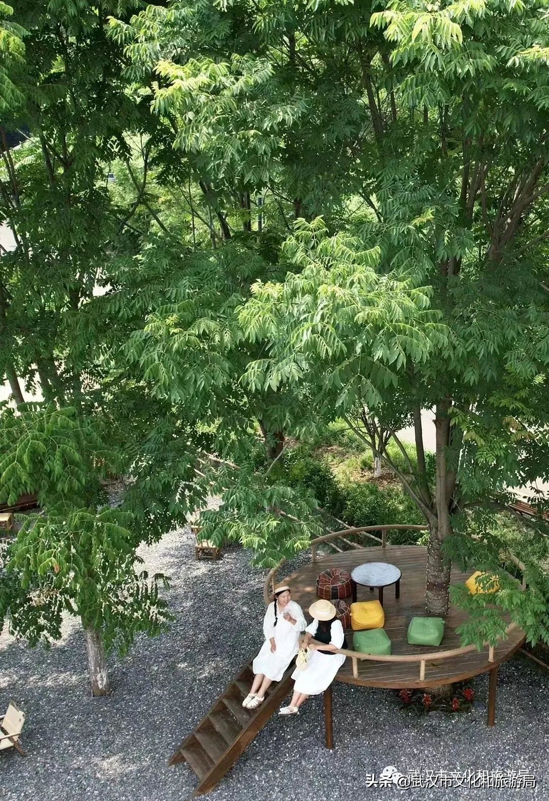 九月，秋风吹进武汉人的小院