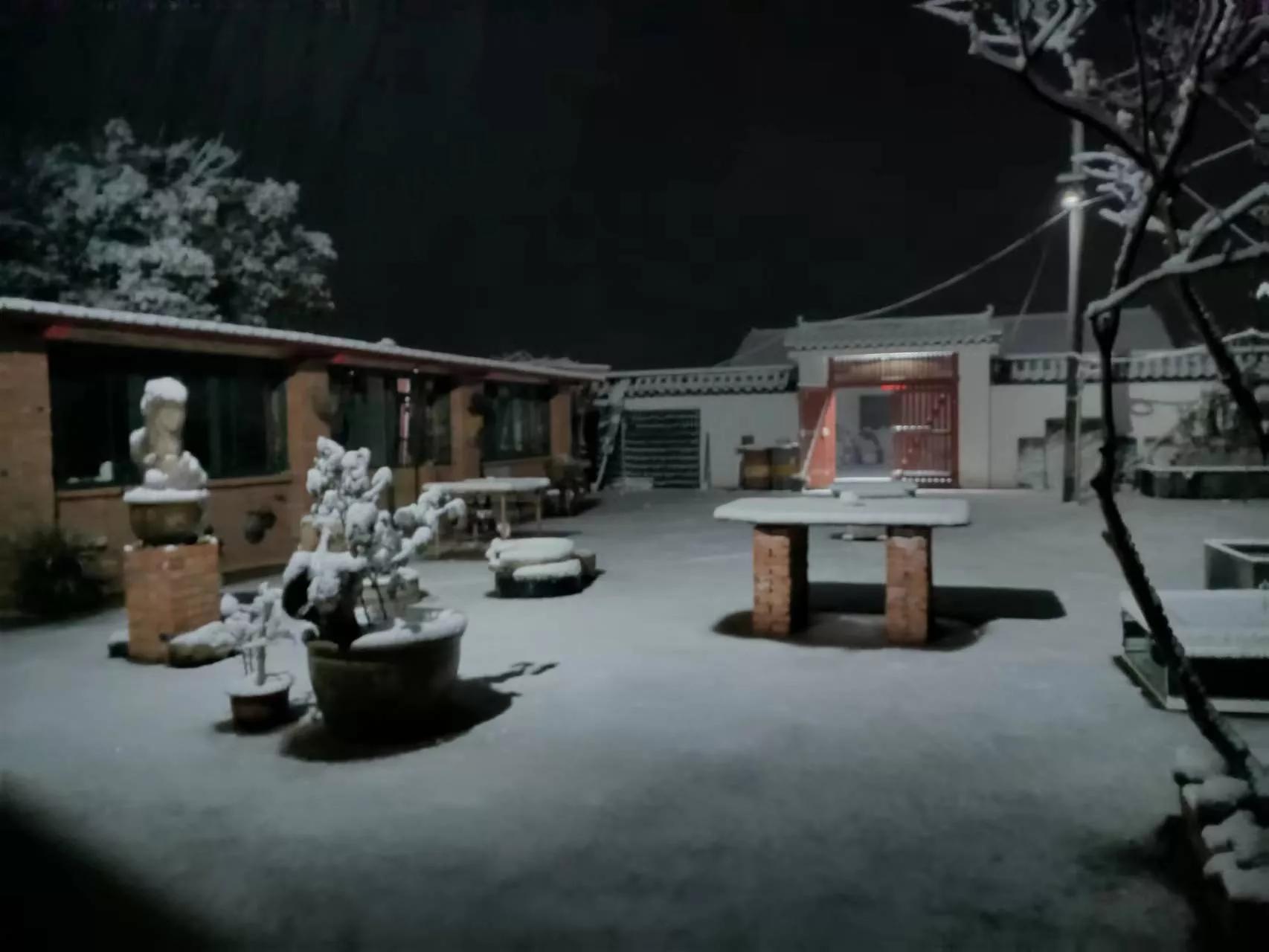 他不仅仅是古琴大师,他还是画家、篆刻家、书法家,二