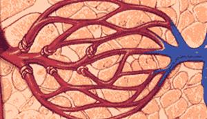腰突游泳注意事项,腰突游泳要注意些什么