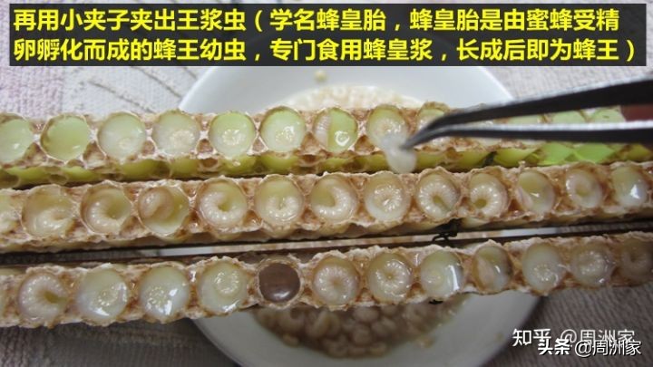 蜂王浆是怎么生产的,蜂王浆的储存方法和食用方法