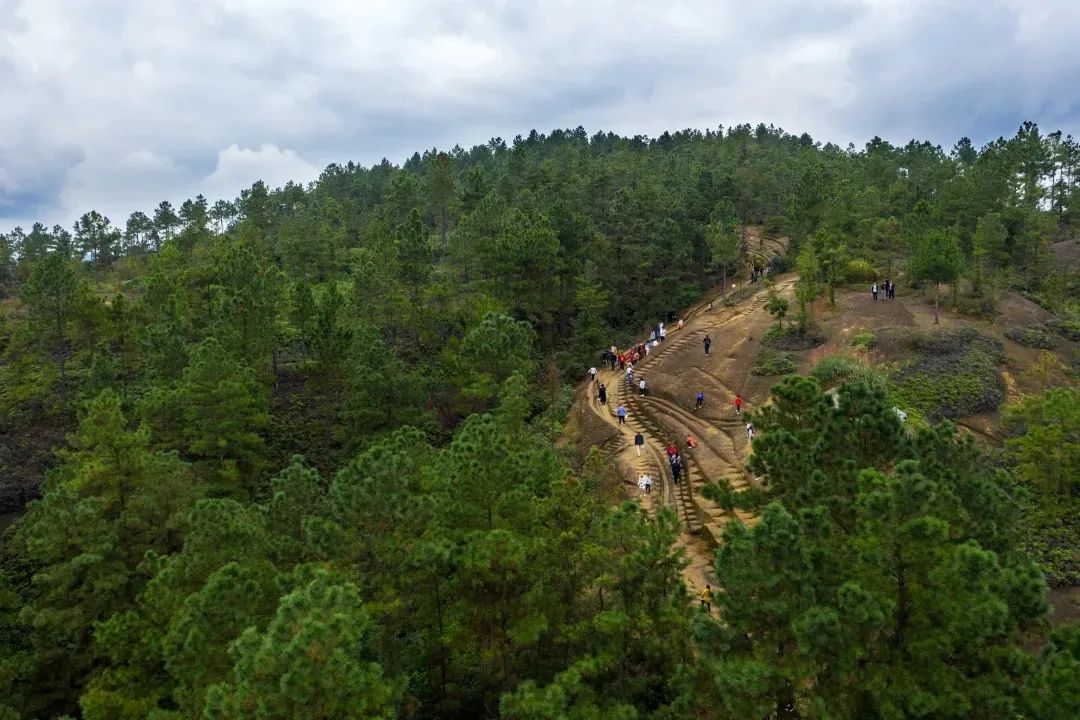 你好，我叫威远，这是我2023年的最新简历！