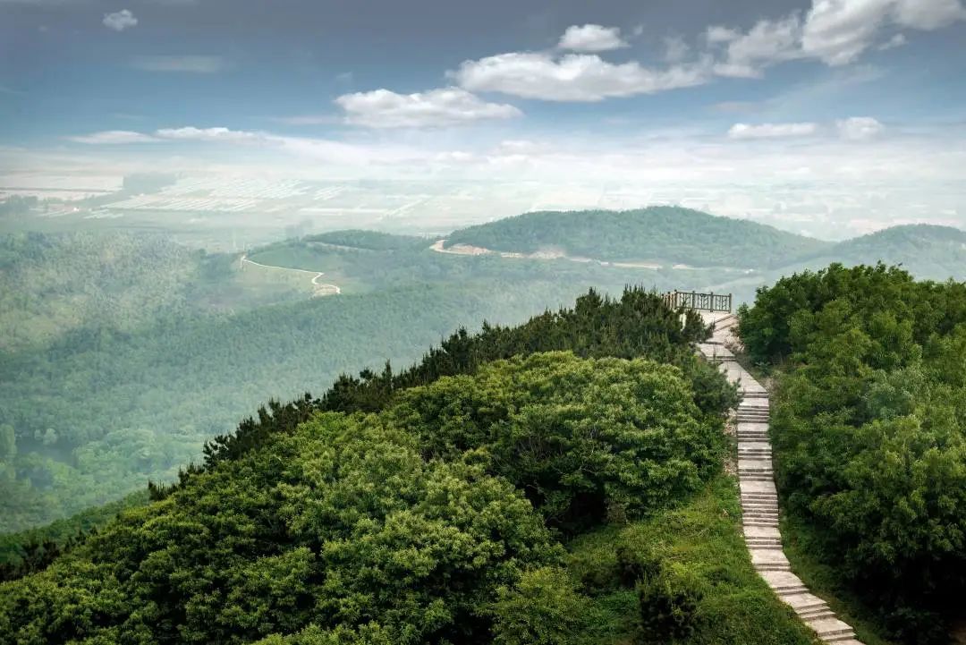 2022阿朵暑期研学季·竹马自然探学|沉浸式自然教育，探寻真假“海上方”