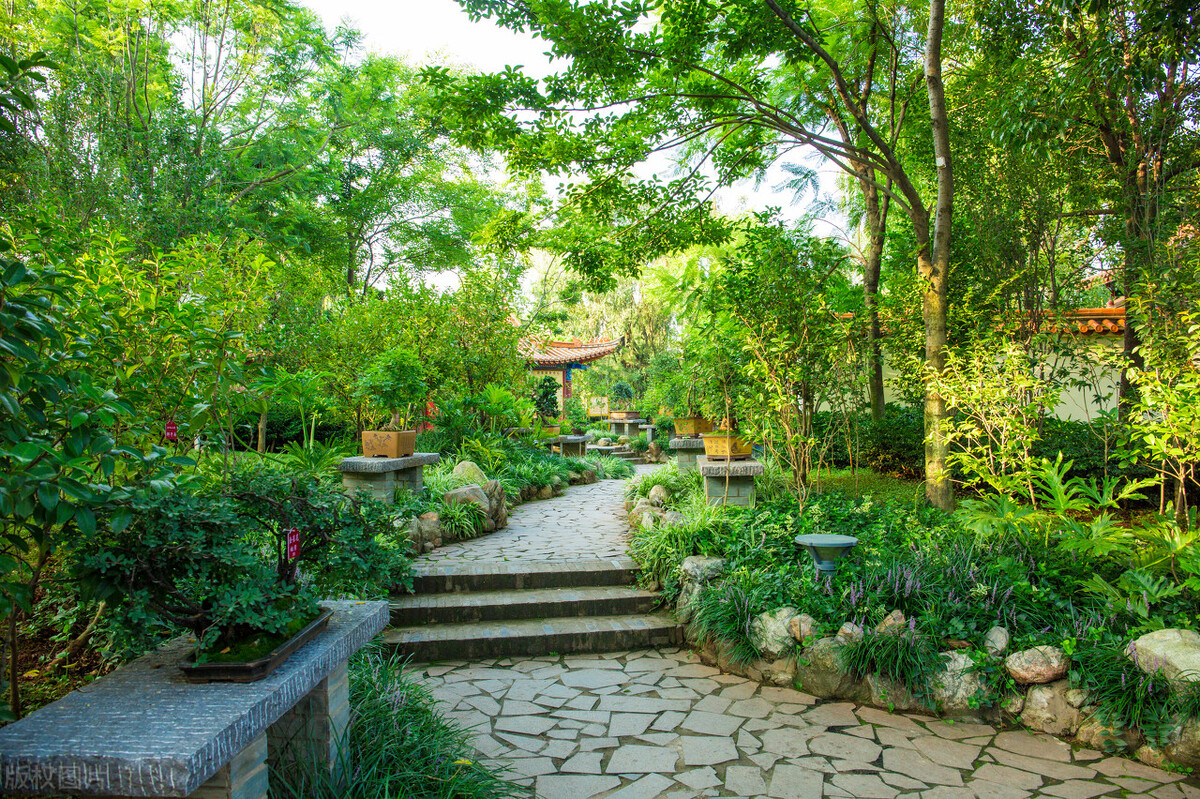 去云南昆明旅游攻略必去景点,云南的昆明旅游攻略必去景点顺序