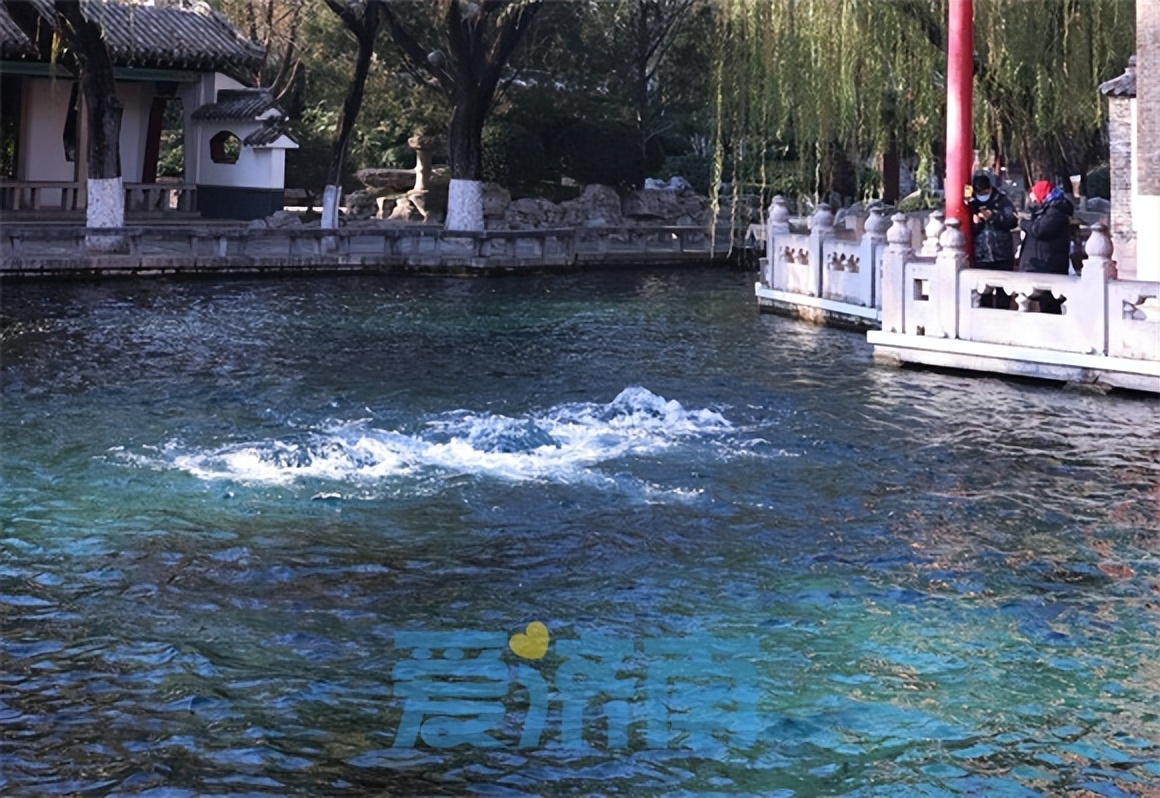 冬日的济南护城河畔美景如画,深秋的济南风景美如画