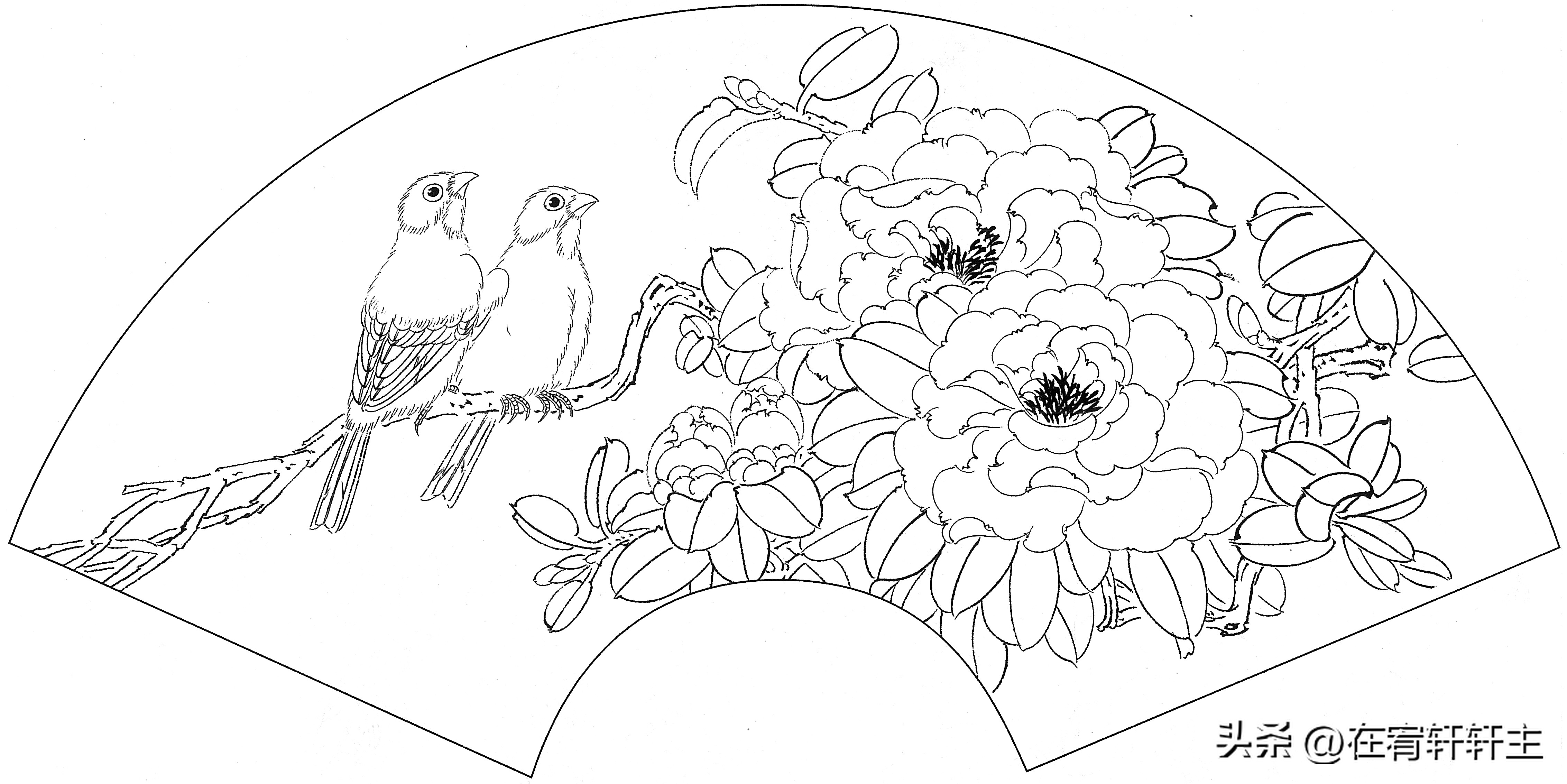 工笔白描祥云图案扇面,工笔扇面葡萄白描图片