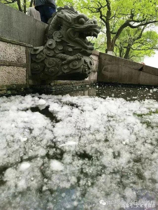 柳絮纷飞的古诗词,关于柳絮飞舞的古诗句