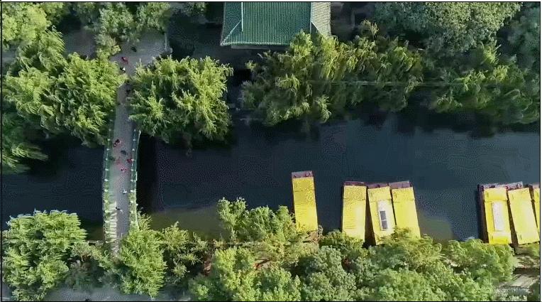 疯狂连更！山东这场持续两个月的直播，观看量超3.7亿