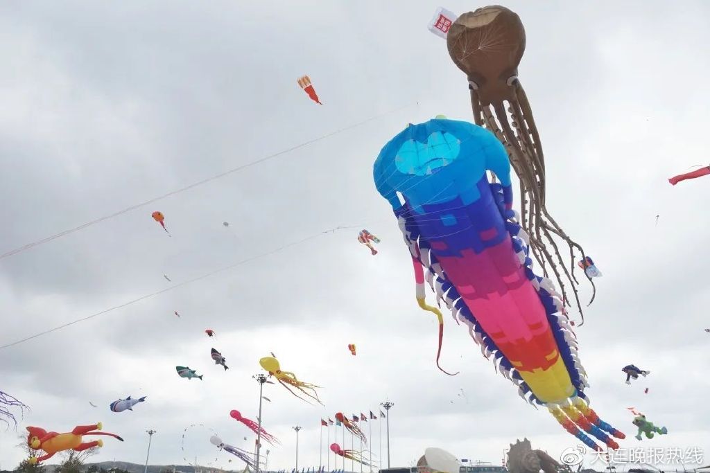 章鱼、老板鱼、大虾全上天了！