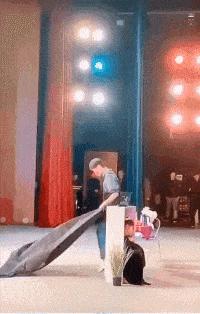 每日一笑逗乐妹子,每日一逗完整版