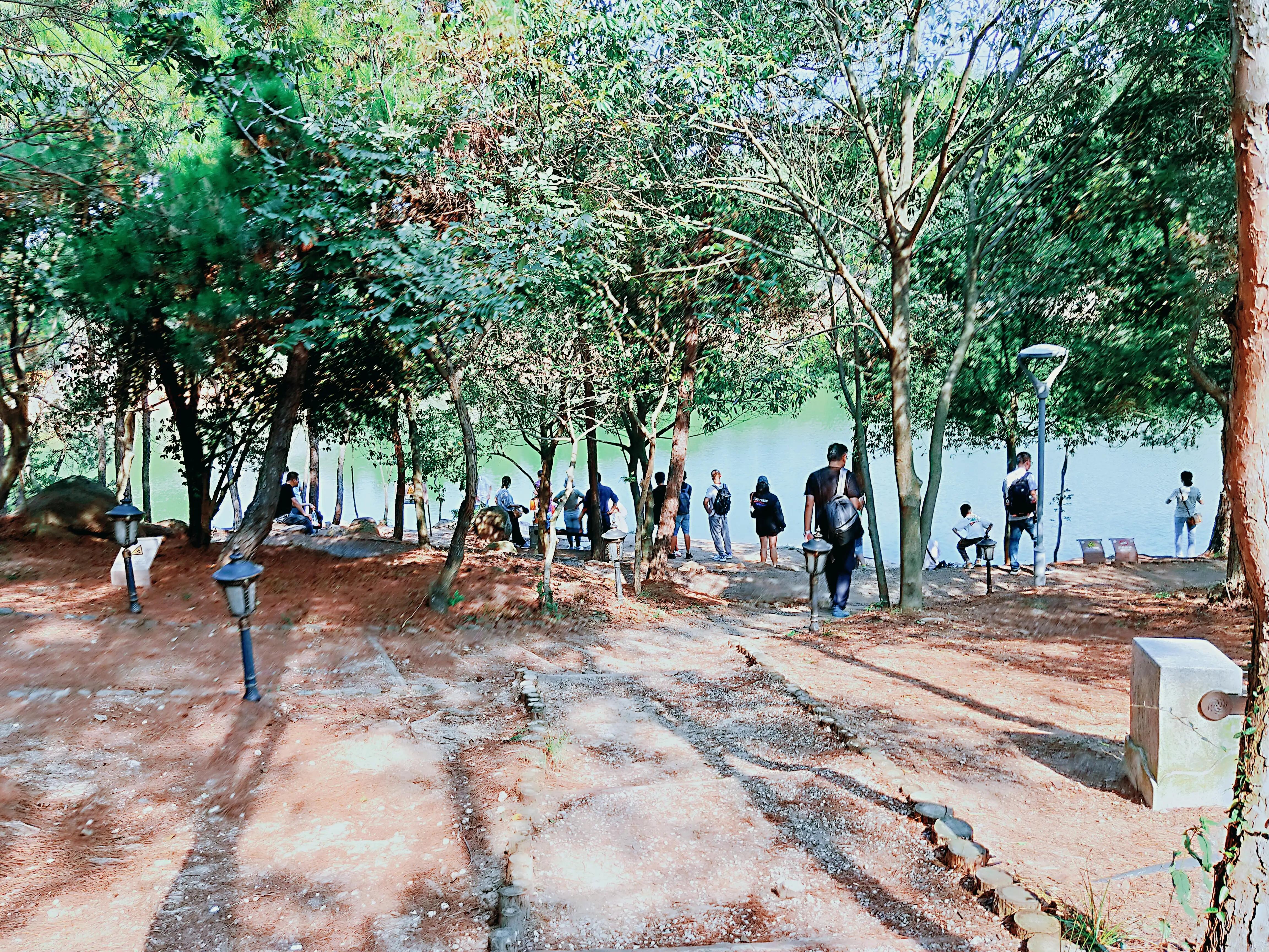 溧水无想山民宿预订,南京溧水无想山露营地点