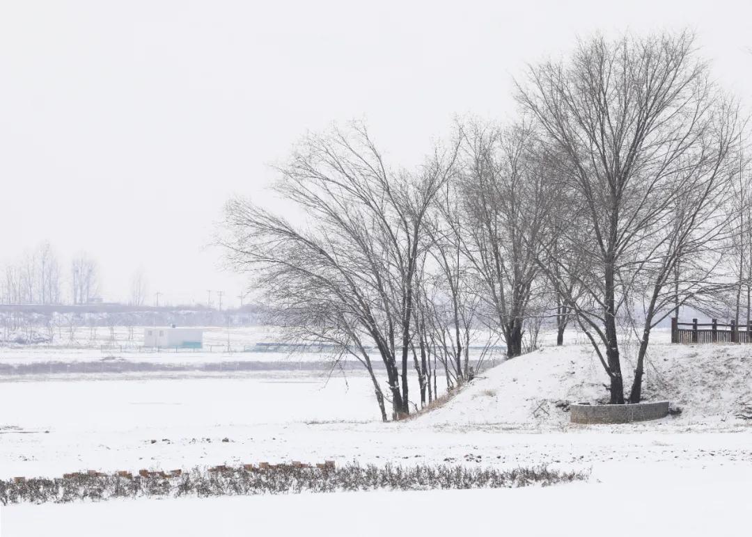 一下雪扬州就美成了广陵,一下雪新疆就美成童话世界