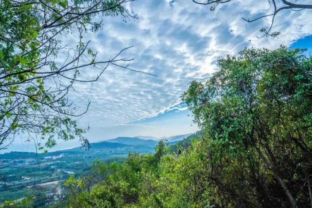 陵水的这些小众景点你会选哪个呢,海南旅游小众城市陵水哪里