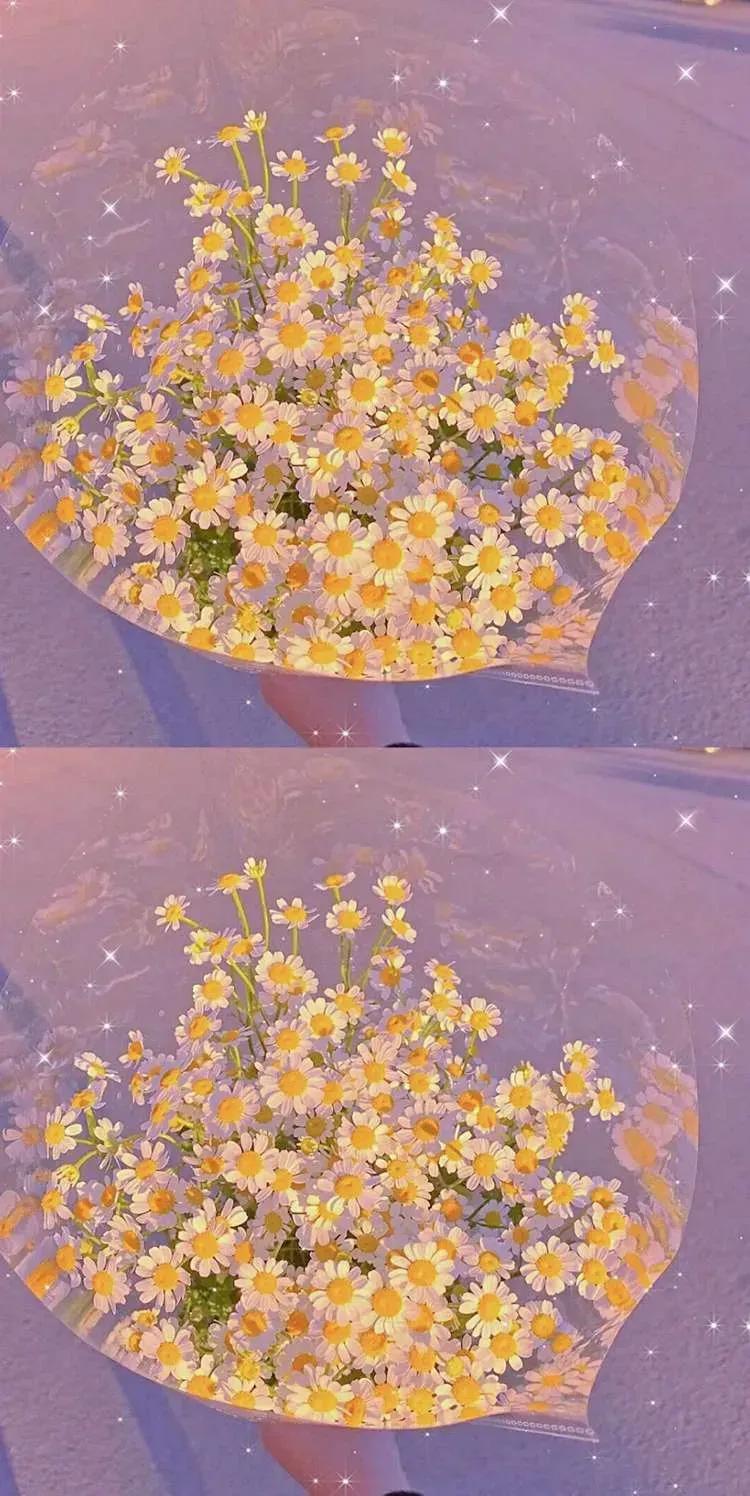 粉色系壁纸动漫人物,粉色系壁纸iphone专用女生高级