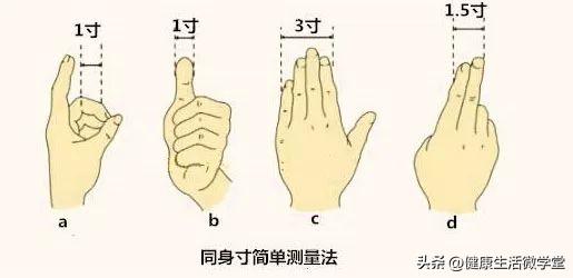 小穴位大健康（17）头维穴——两侧头痛，就找头上的维和大使