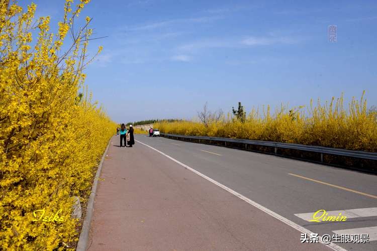 北京近郊春景,济南近郊春景