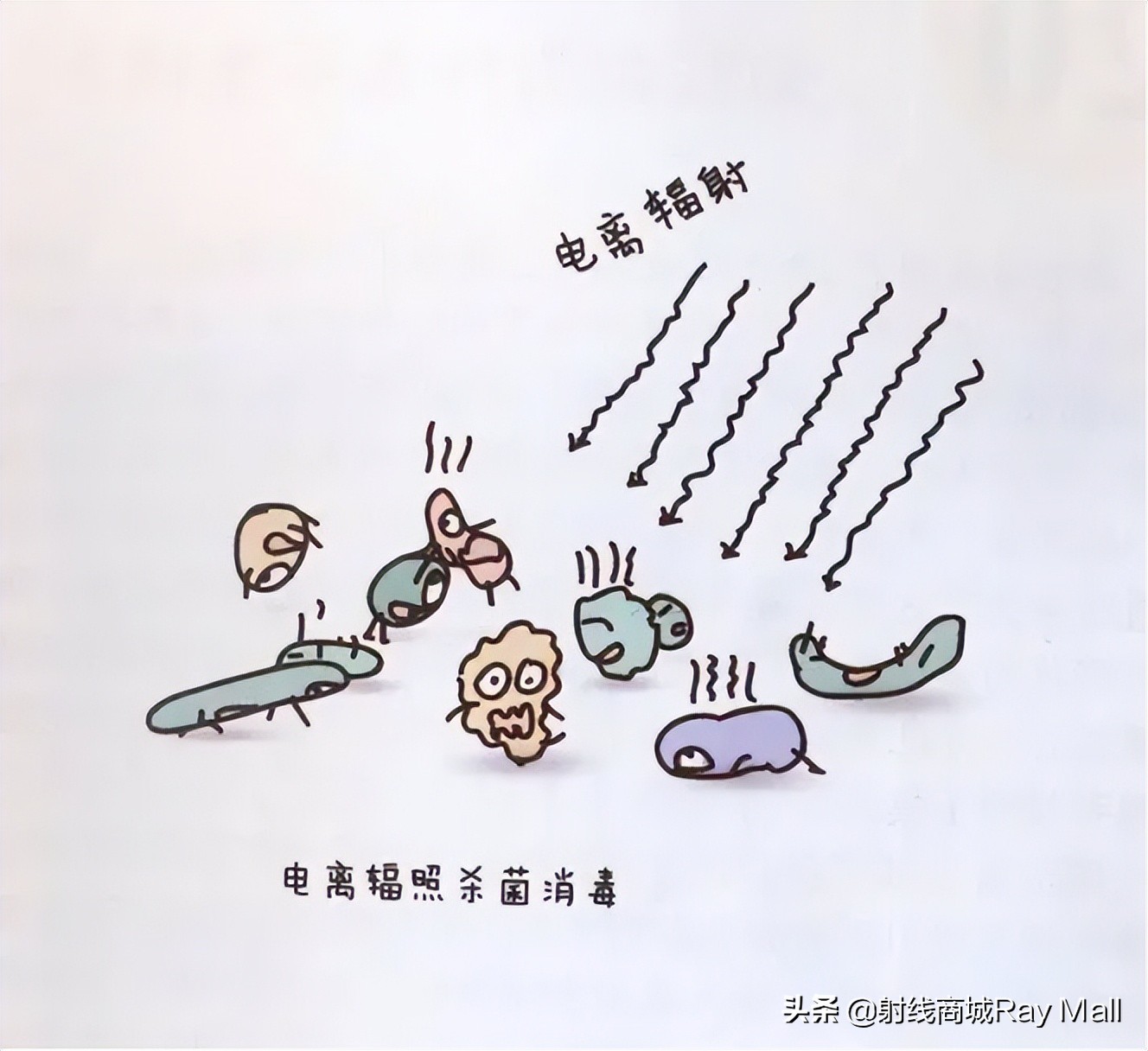 上海辟谣一阿姨将方舱被子带回致200人感染，到底怎样消毒灭菌？