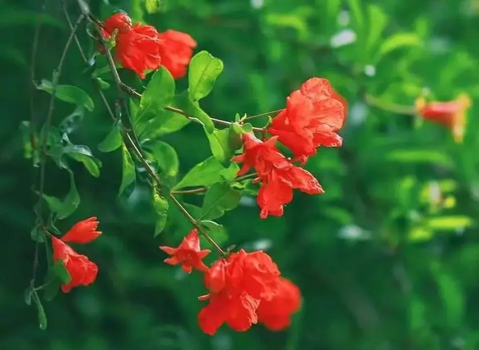 看了2022年平均工资，才知道最吃香的就业专业是哪些