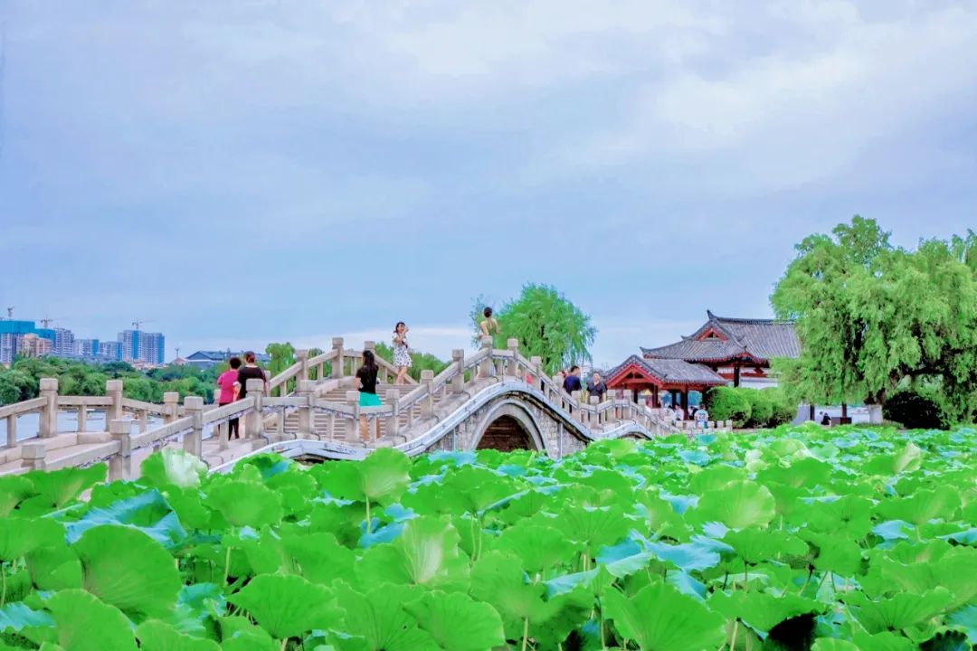 济南这些惊艳时光的老街,济南城市飞速发展