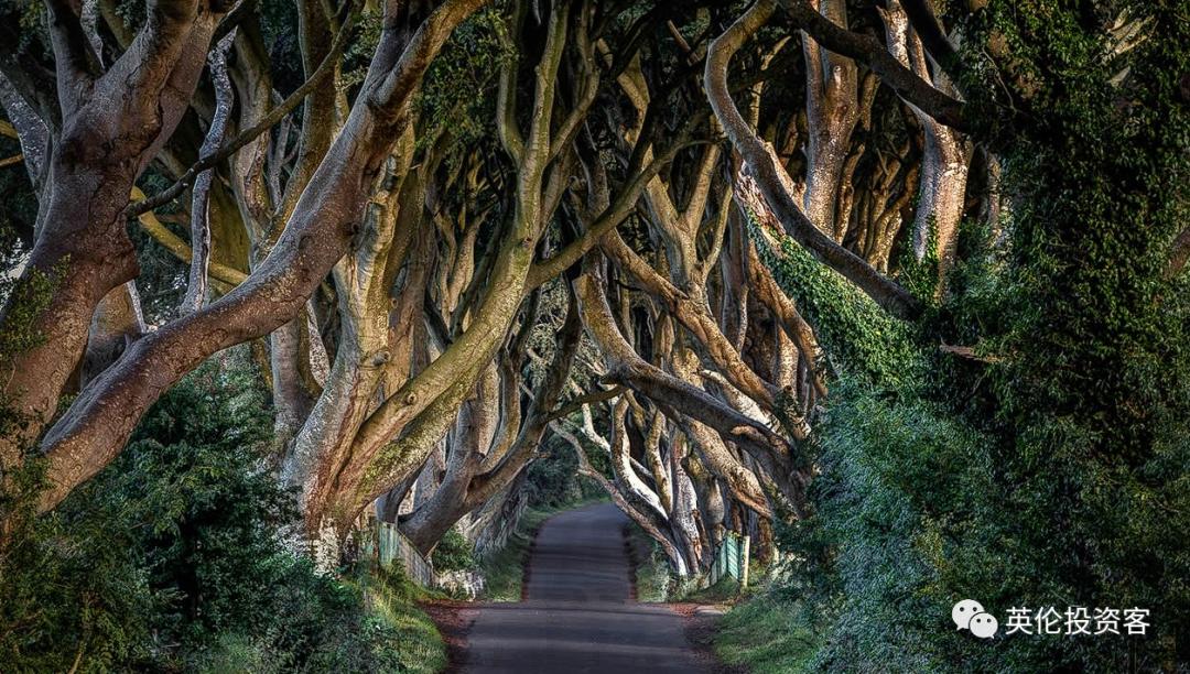 英国当选2023全球最佳旅游目的地！伦敦航班搜索量世界第一！​