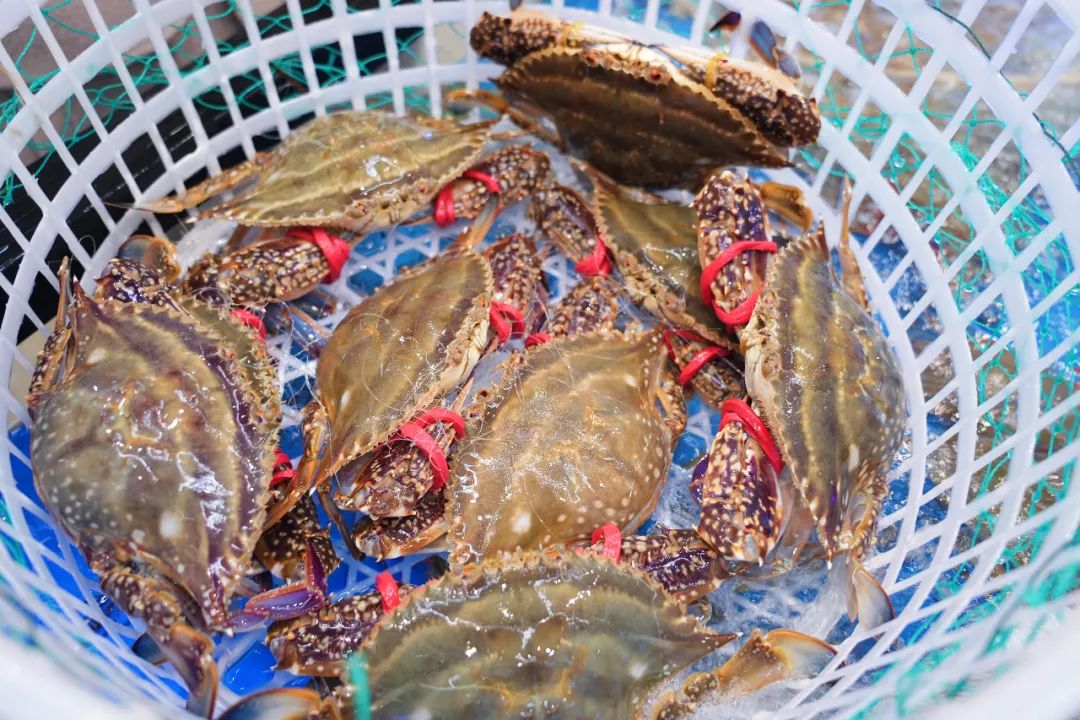 盐城值得去的地方,盐城市区有什么值得去的地方