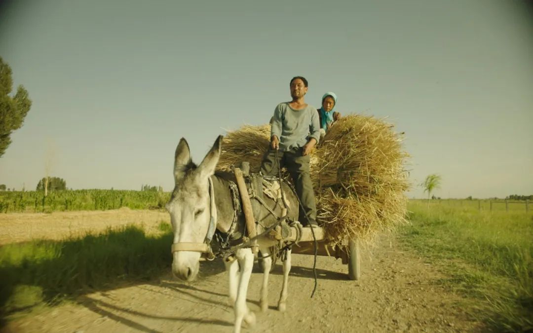 58天，我们见证了一部冷门片的逆袭